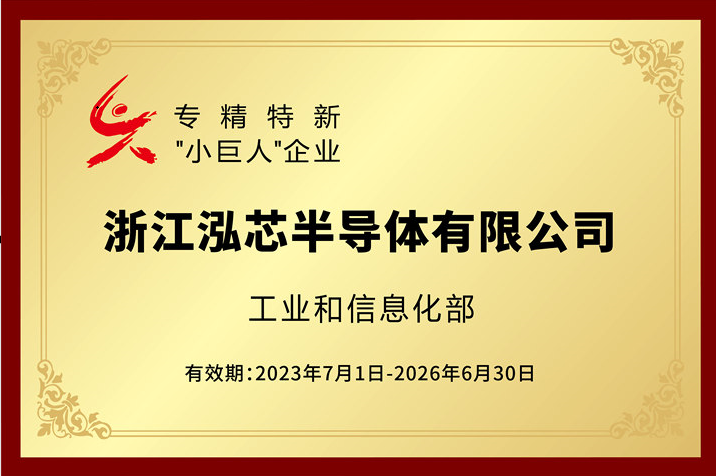 专精特小巨人企业